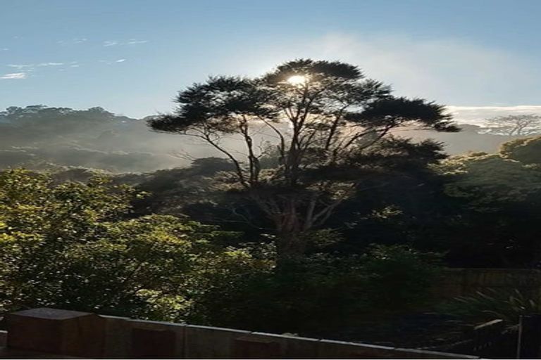 Photo of property in 10 Ketu Court, Albany Heights, Auckland, 0632