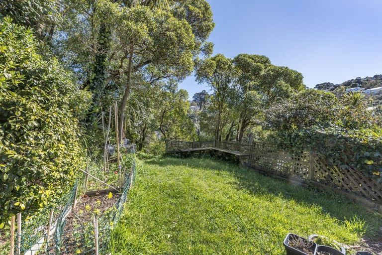 Photo of property in 17 Boundary Road, Kelburn, Wellington, 6012