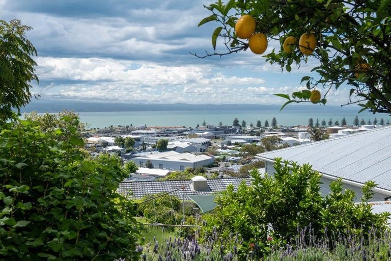 Photo of property in 8 Goldsmith Terrace, Hospital Hill, Napier, 4110