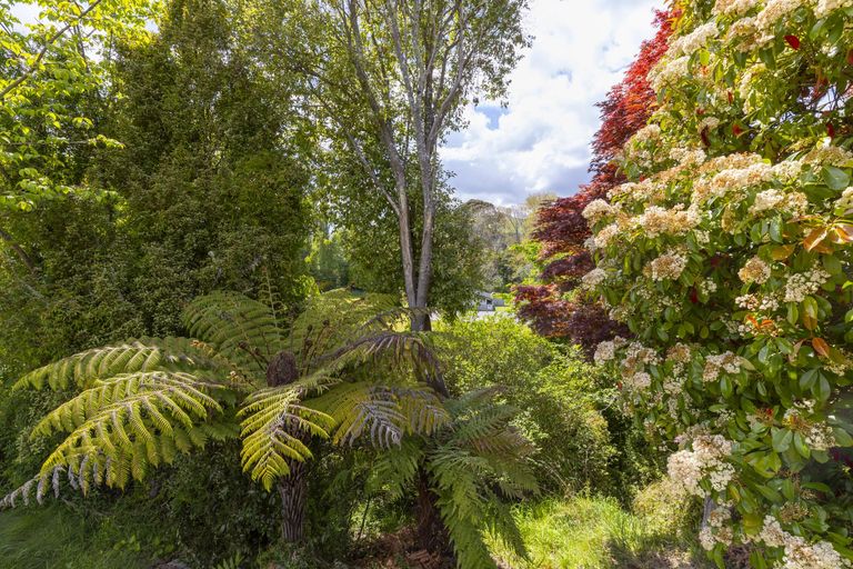 Photo of property in 19 Kinloch Road, Kinloch, Taupo, 3377