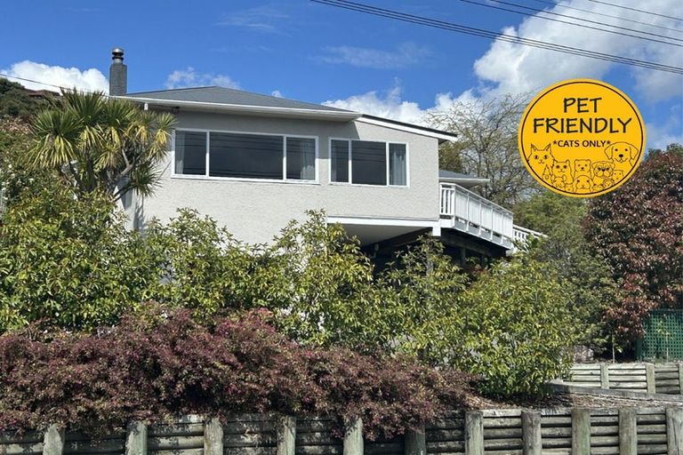 Photo of property in 535 Waimea Road, Annesbrook, Nelson, 7011