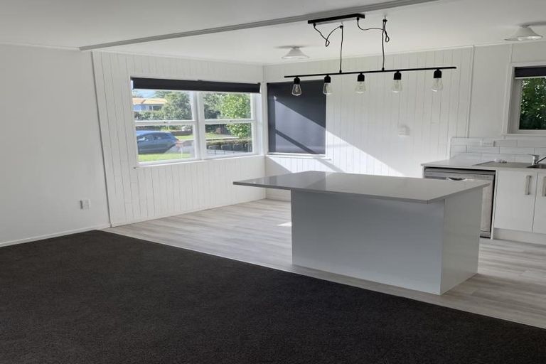 Photo of property in 55 Larnoch Road, Henderson, Auckland, 0610