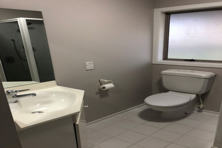 Photo of property in 91e Lake Domain Drive, Frankton, Hamilton, 3204