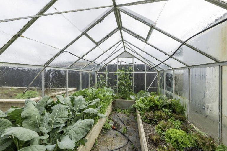 Photo of property in 483 Beaconsfield Road, Stratford, 4394