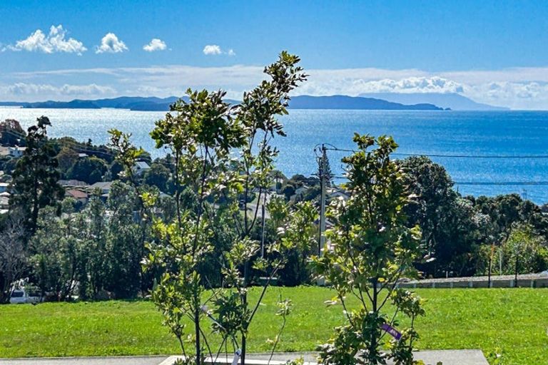 Photo of property in 25 Anehana Place, Stanmore Bay, Whangaparaoa, 0932