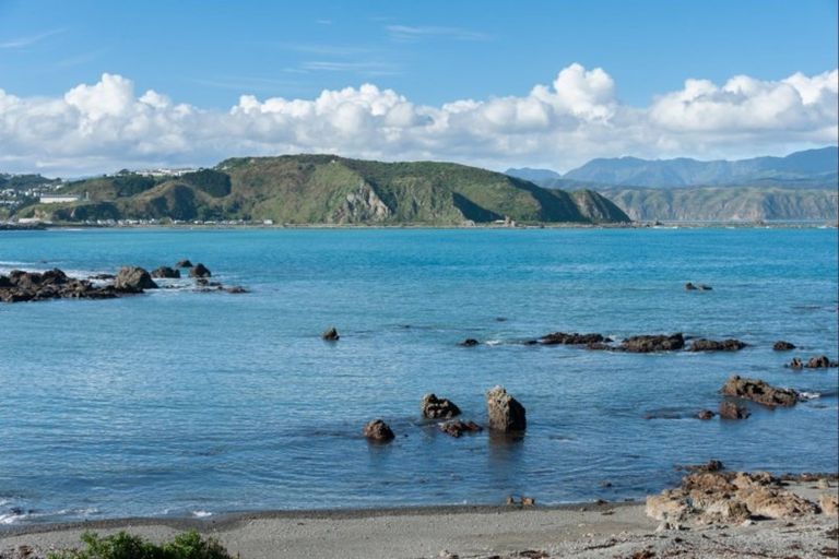 Photo of property in 422f3 Queens Drive, Lyall Bay, Wellington, 6022