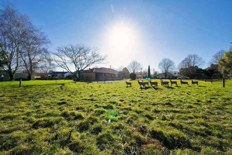 Photo of property in 8 Reeves Street, Cheviot, 7310