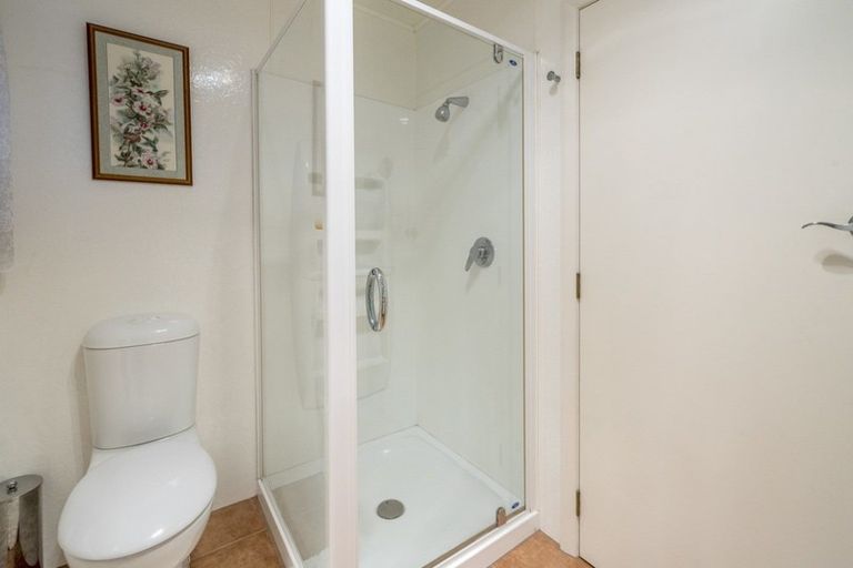 Photo of property in 55 Graham Street, Levin, 5510