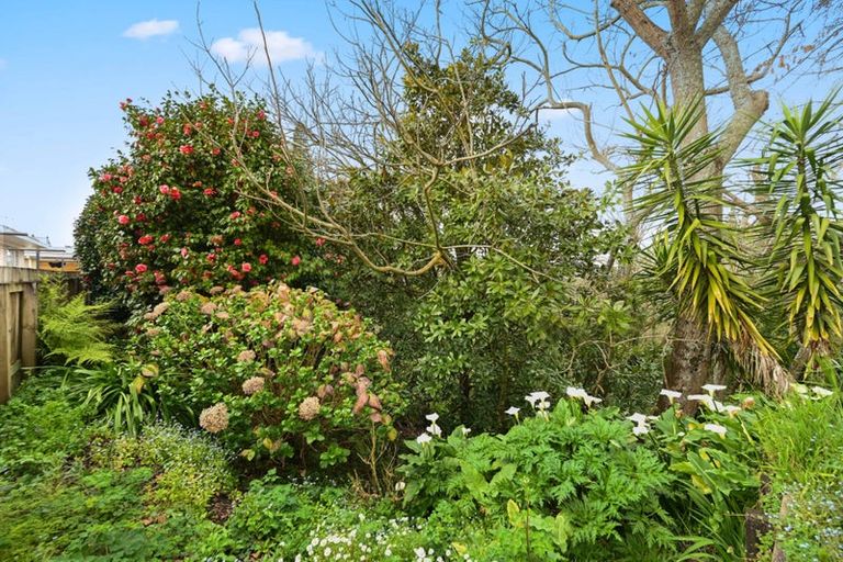 Photo of property in 49 Rimu Street, Maeroa, Hamilton, 3200