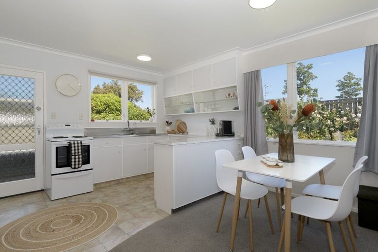 Photo of property in 48 Seventeenth Avenue, Tauranga South, Tauranga, 3112