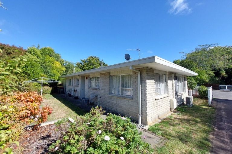 Photo of property in 50 Crosby Road, Chartwell, Hamilton, 3210