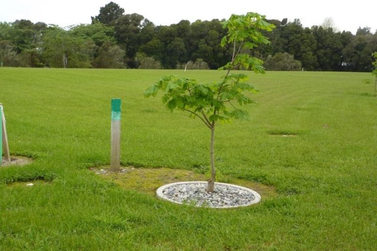 Photo of property in 28 Kawatiri Place, Westport, 7825