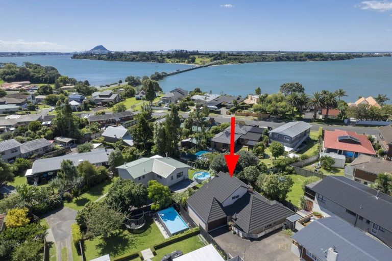 Photo of property in 36a Maihi Crescent, Maungatapu, Tauranga, 3112
