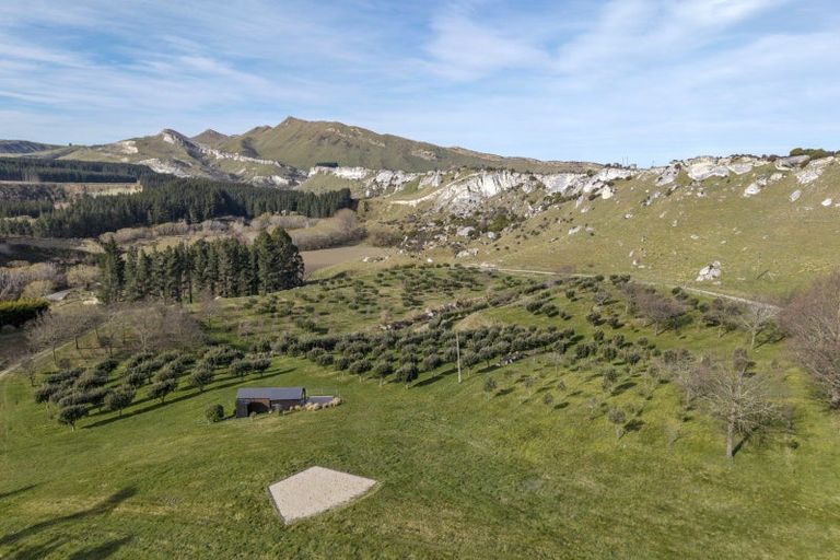 Photo of property in 101 Laidmore Road, Broomfield, 7482