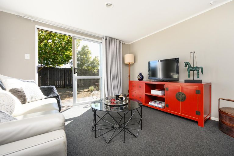 Photo of property in 101a Limbrick Street, Terrace End, Palmerston North, 4410