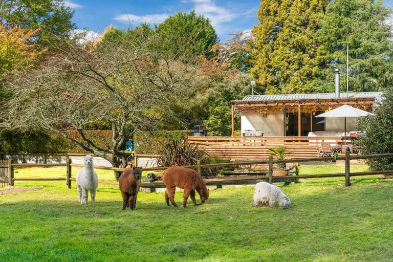 Photo of property in 175 Forest Road, Oruanui, Taupo, 3384