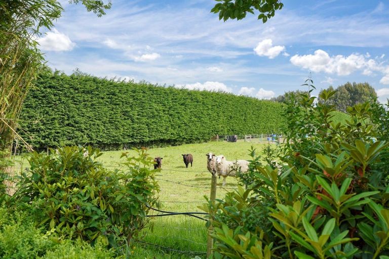 Photo of property in 72 Millton Park Road, Mill Road, Invercargill, 9871