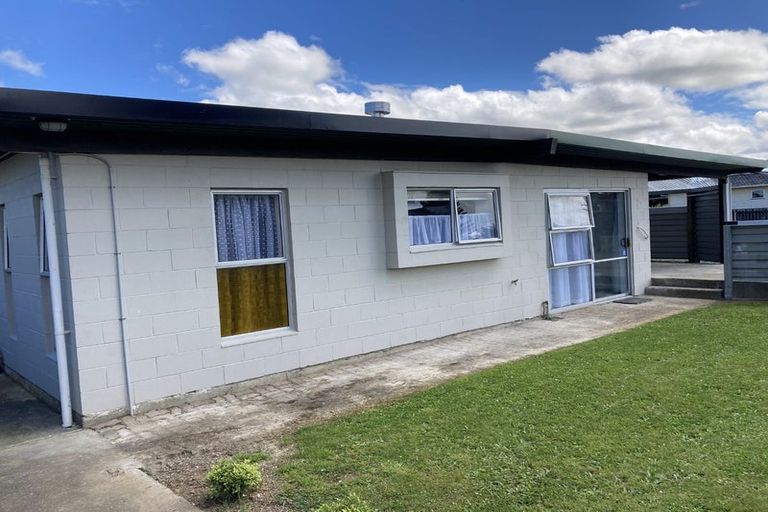 Photo of property in 119a Tiro Tiro Road, Levin, 5510