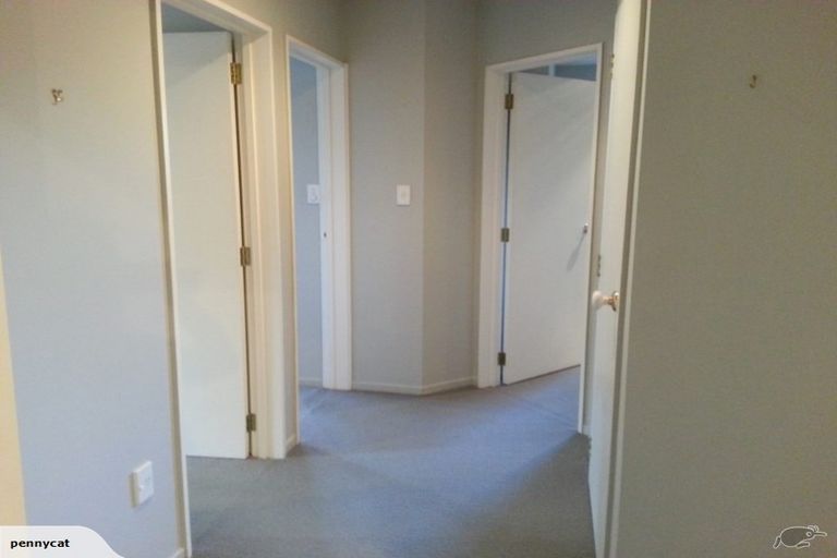 Photo of property in 47 Jocelyn Street, Casebrook, Christchurch, 8051