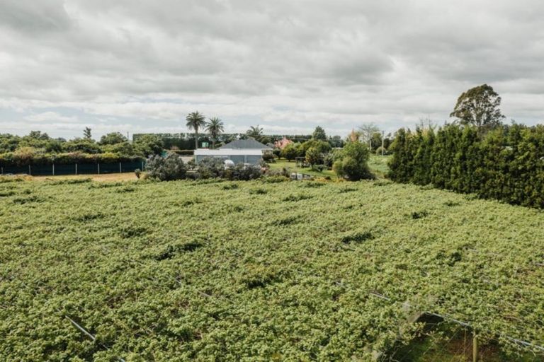 Photo of property in 568 Te Puke Highway, Te Puke, 3187