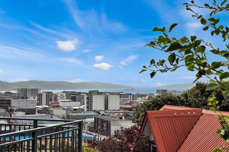 Photo of property in 53 Hankey Street, Mount Cook, Wellington, 6011
