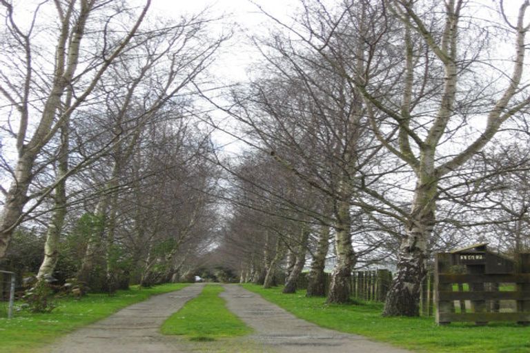 Photo of property in 167 Fairfield Road, Levin, 5510