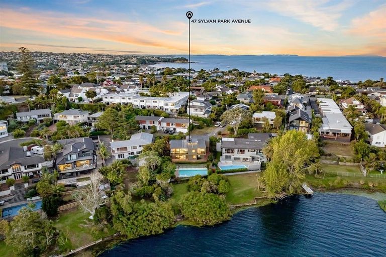 Photo of property in 47 Sylvan Park Avenue, Milford, Auckland, 0620