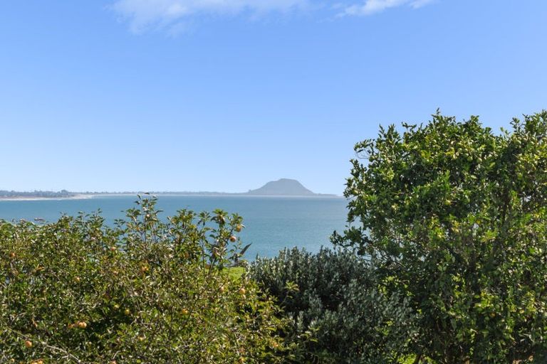 Photo of property in 48 Arawa Avenue, Maketu, Te Puke, 3189