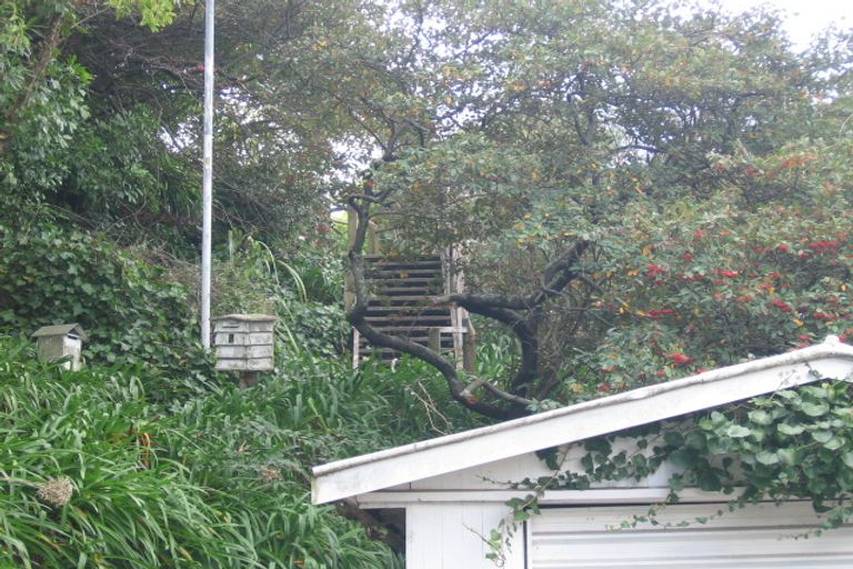 Photo of property in 7 Havelock Terrace, Hospital Hill, Napier, 4110