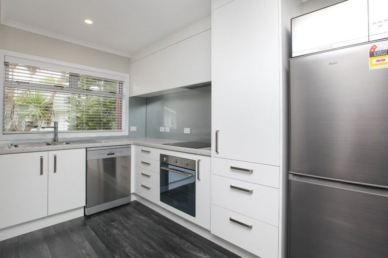 Photo of property in 16u7 Hammond Street, Hamilton Central, Hamilton, 3204