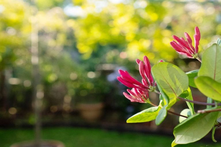 Photo of property in 46e Navigation Drive, Whitby, Porirua, 5024