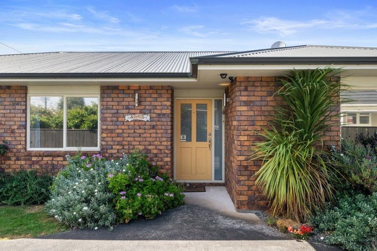 Photo of property in 28 Dorset Street, Levin, 5510