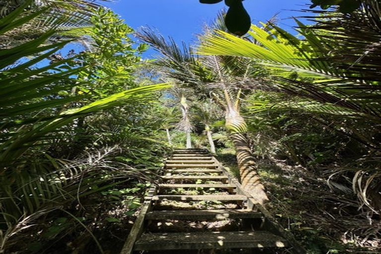 Photo of property in 12 Sylvan Glade, Piha, 0772