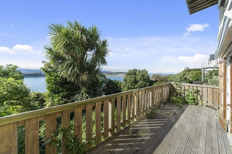 Photo of property in 43 Overtoun Terrace, Hataitai, Wellington, 6021