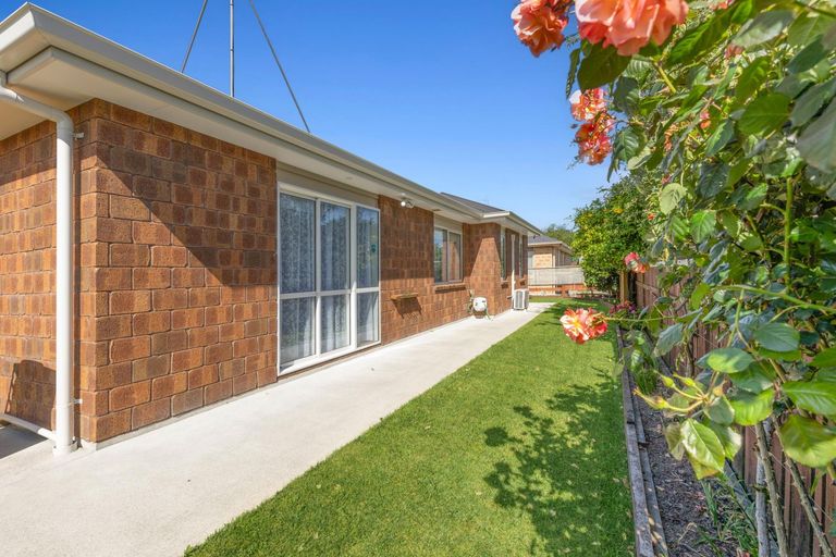 Photo of property in 8b Smith Street, Matamata, 3400