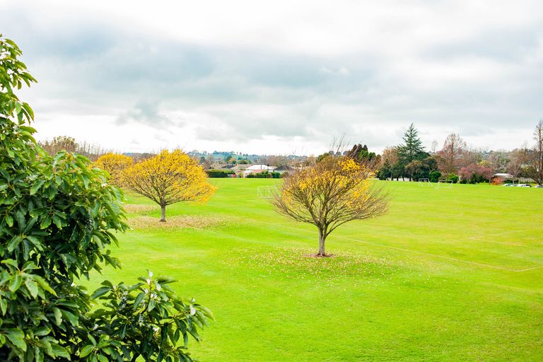 Photo of property in 291 Swarbrick Drive, Te Awamutu, 3800