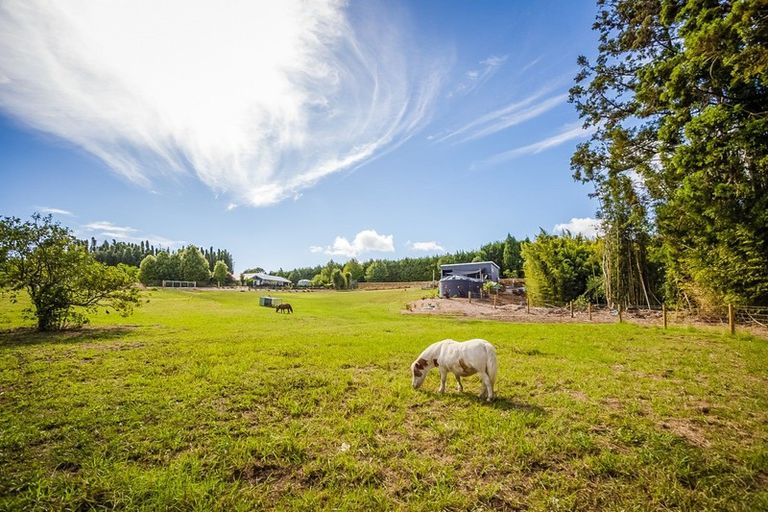 Photo of property in 76 Riddell Road, Kerikeri, 0230