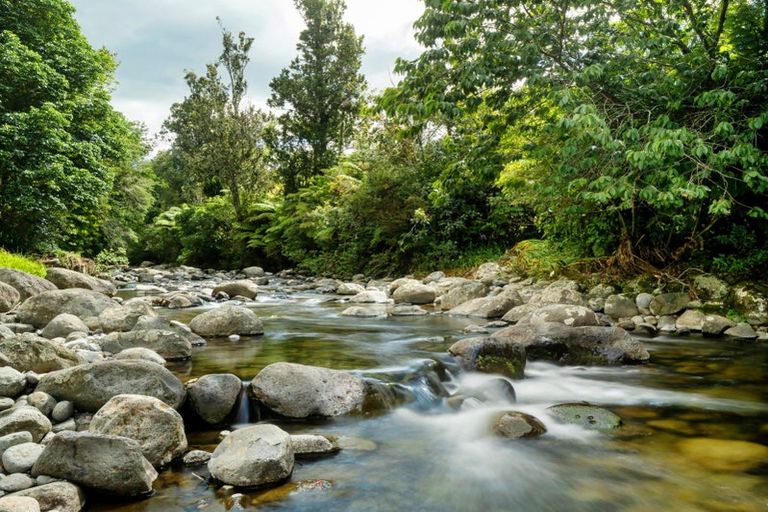 Photo of property in 424a Hot Springs Road, Tahawai, Katikati, 3178