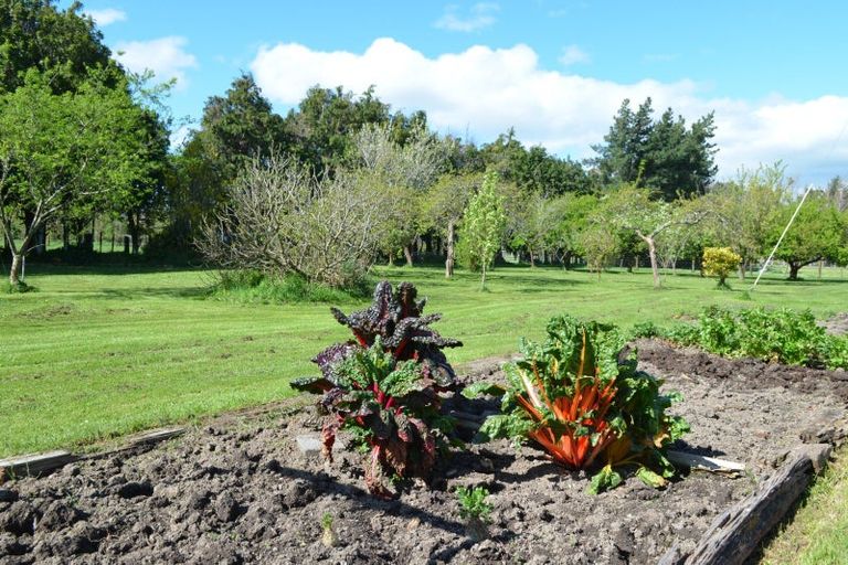 Photo of property in 83 Boundary Road, Upper Plain, Masterton, 5888