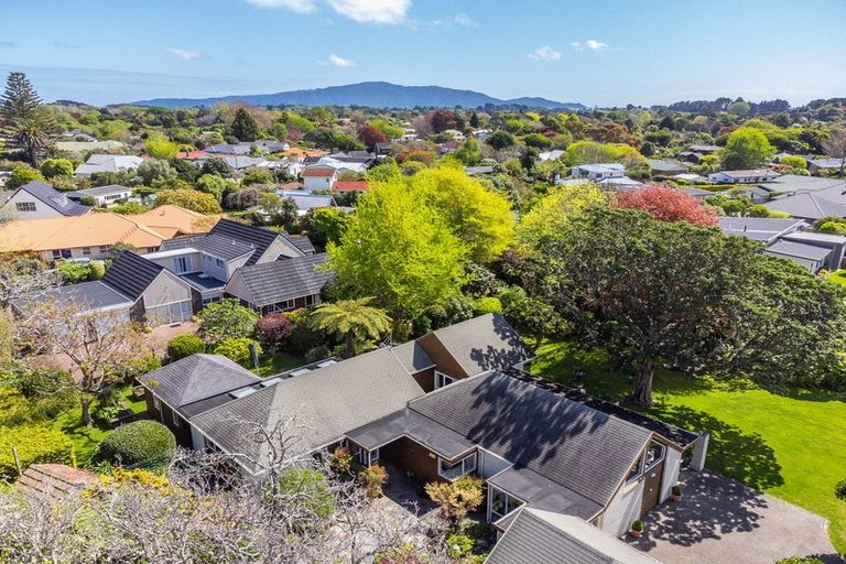 Photo of property in 36-38 Rata Street, Waikanae, 5036