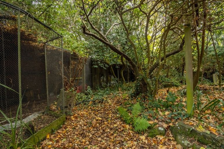 Photo of property in 62 Morton Street, Georgetown, Invercargill, 9812