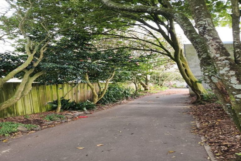 Photo of property in 13u2 May Street, Hamilton East, Hamilton, 3216