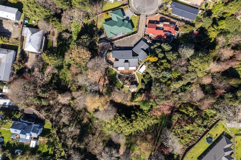 Photo of property in 20 Norrie Street, Te Puke, 3119