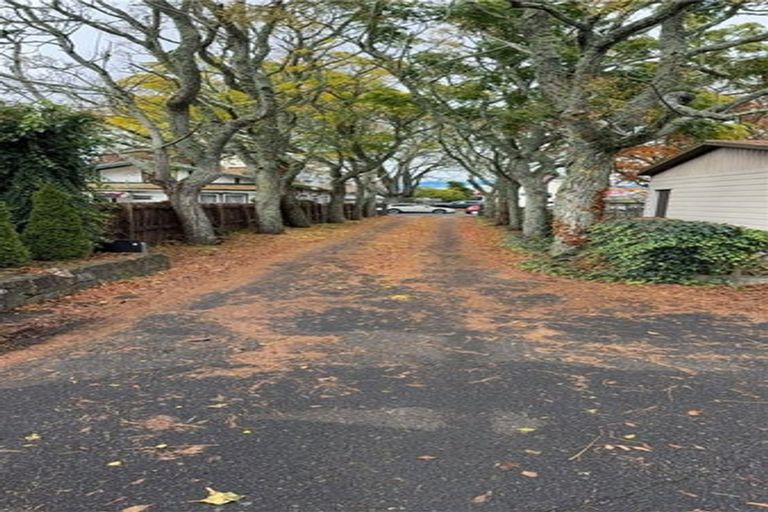 Photo of property in 4a Hardley Street, Whitiora, Hamilton, 3200