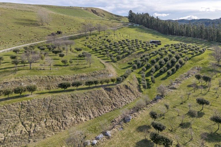 Photo of property in 101 Laidmore Road, Broomfield, 7482