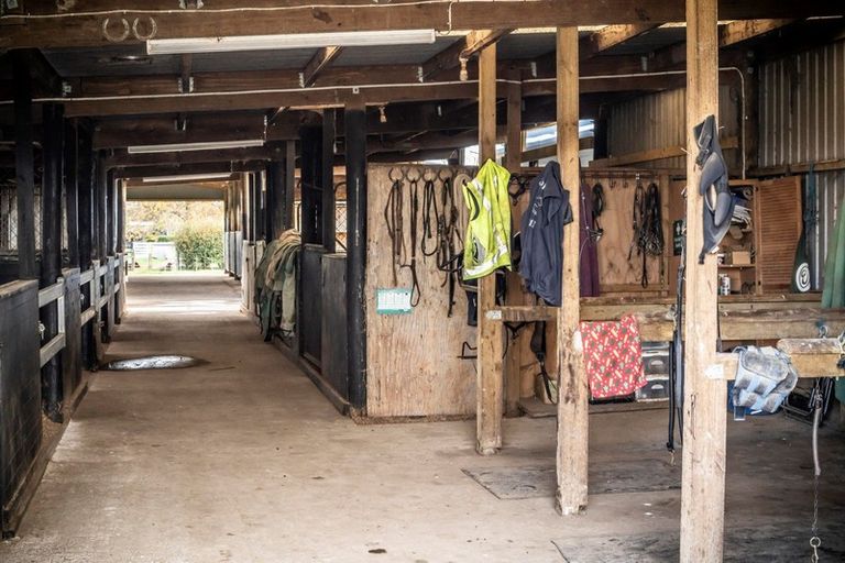 Photo of property in 2/101 Racecourse Road, Cambridge, 3493