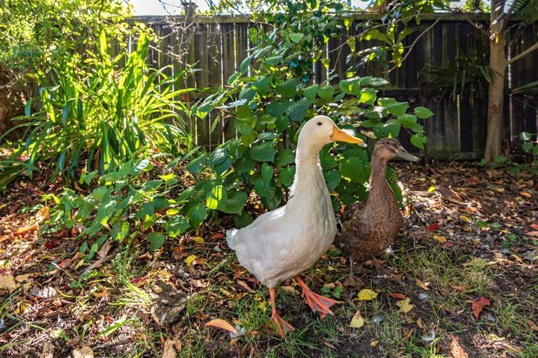 Photo of property in 14 Marshall Avenue, Whanganui East, Whanganui, 4500