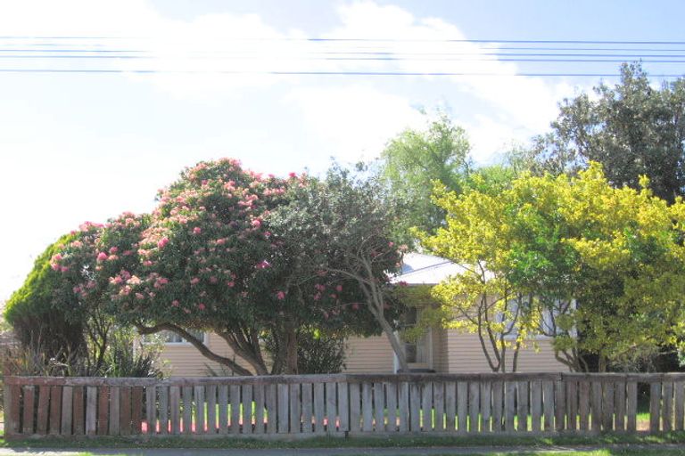 Photo of property in 41 Pihanga Street, Taupo, 3330