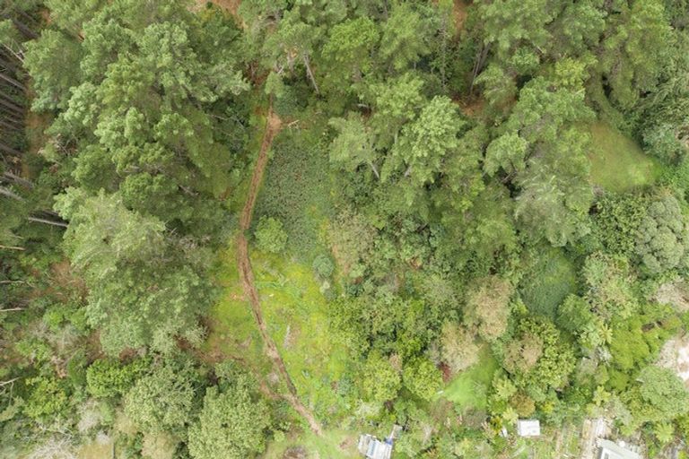 Photo of property in 63 Leinster Avenue, Raumati South, Paraparaumu, 5032