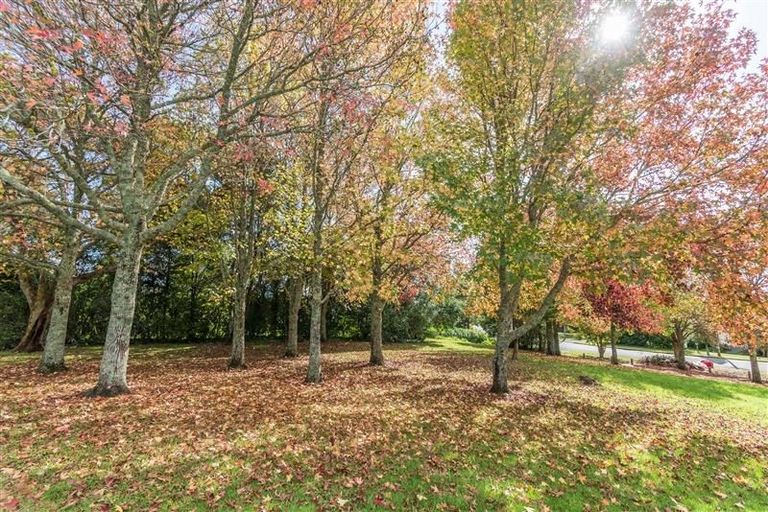 Photo of property in 4/57 Nikau Street, New Lynn, Auckland, 0600